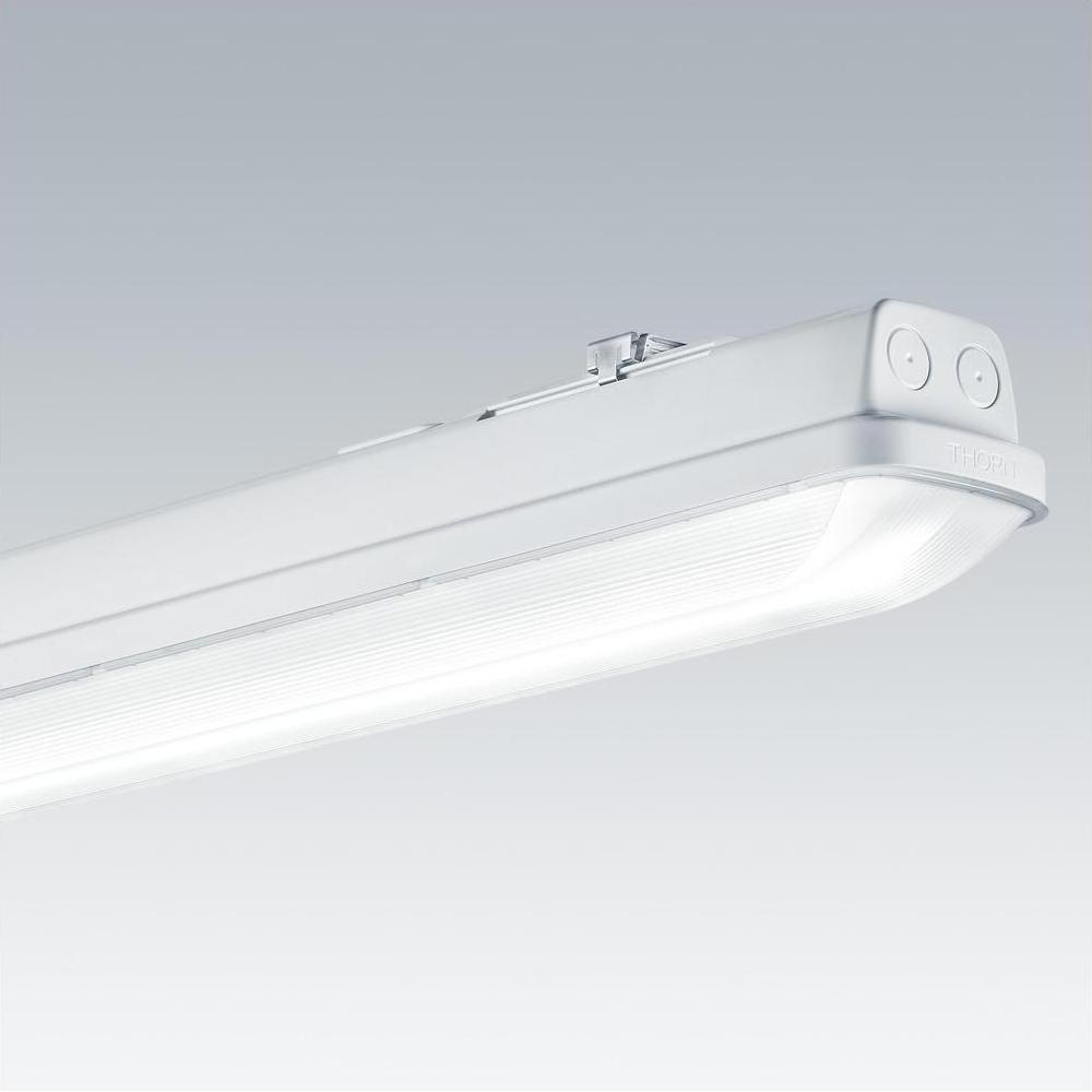 Thorn, Wandleuchte + Deckenleuchte, LED-Feuchtraumleuchte (4400 lm)