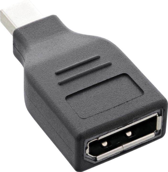 Produktbild InLine DisplayPort Adapter (Mini DP, 45 cm)
