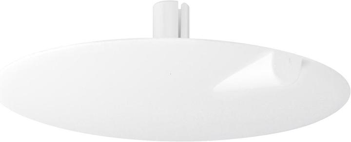 Immagine prodotto Agro Rosa da soffitto