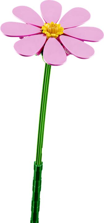 Produktbild LEGO Kosmeen (11514, LEGO Botanicals)