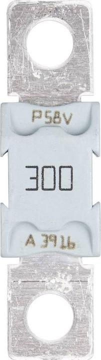 Actual product image Victron Energy MEGA fuse 300A/80V