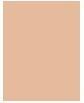 Produktbild Sensai Cellular Performance Total Finish Refill (TF12 Soft Beige)