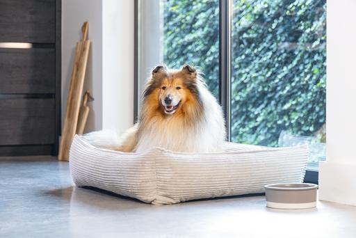 Actual product image Designed by Lotte Ribbed (Dog)