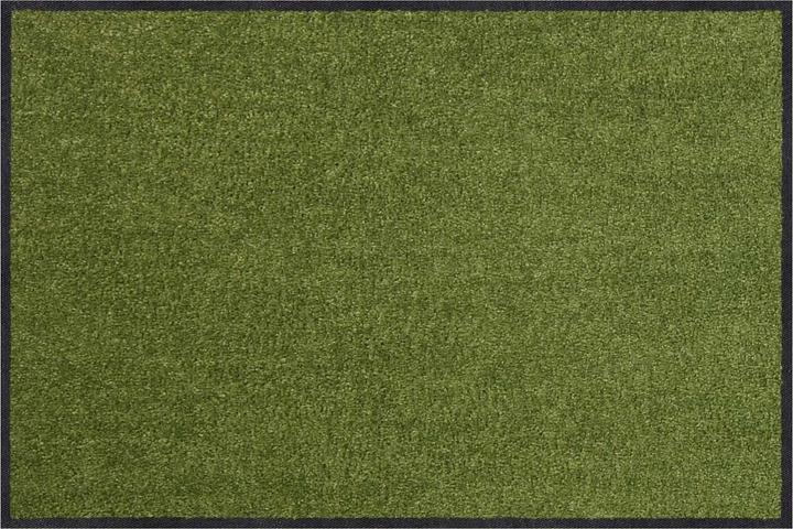 Image du produit Salonloewe Sauge (50 x 75 cm)