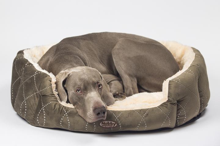 Produktbild Nobby Komfort Bett oval CENO (Hund)