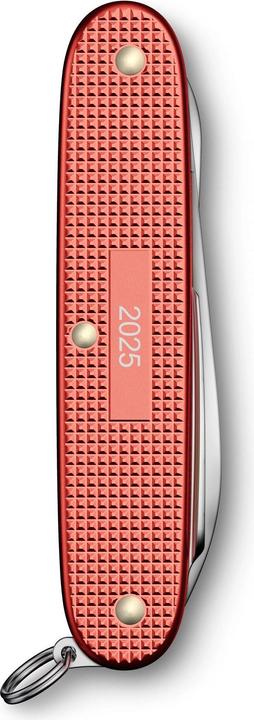 Produktbild Victorinox Pioneer X