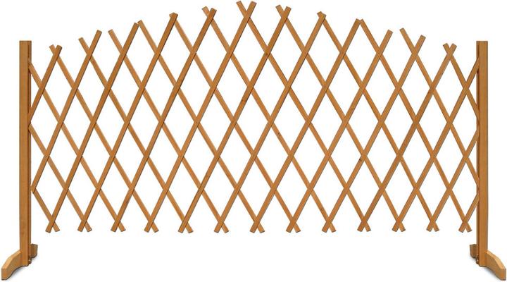 Immagine prodotto Deuba Supporto per piante rampicanti (25 cm, 100 cm)