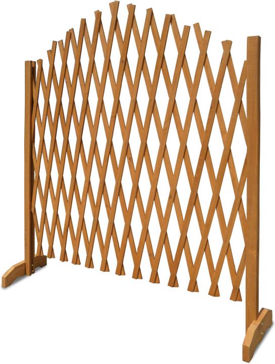 Immagine prodotto Deuba Supporto per piante rampicanti (25 cm, 100 cm)