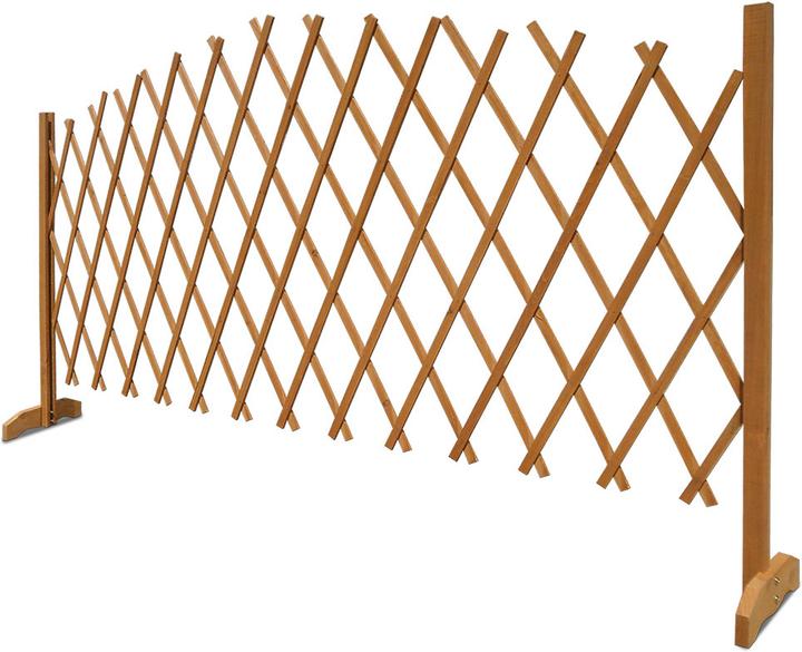 Immagine prodotto Deuba Supporto per piante rampicanti (25 cm, 100 cm)