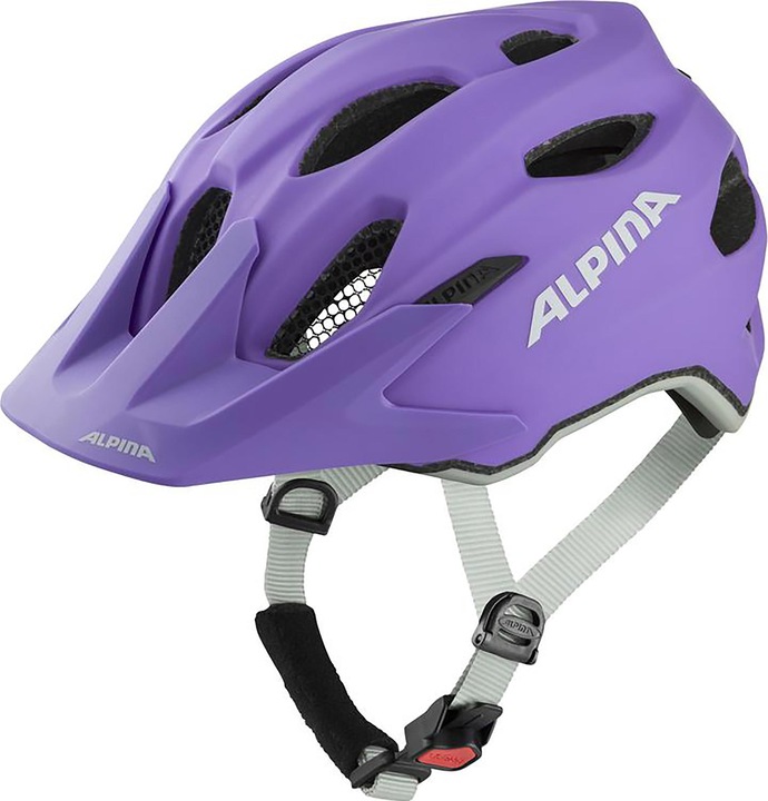 Image du produit ALPINA SPORTS Carapax Jr Flash (56 cm)
