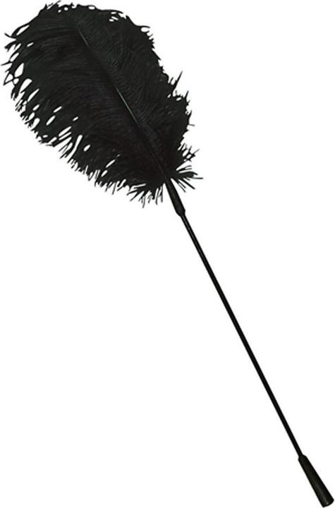 Actual product image Bad Kitty Feder