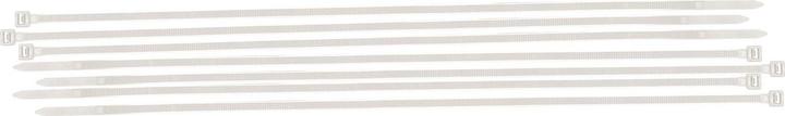 Actual product image Brady Nylon cable ties and cable ties (Plastic cable ties, 290 mm, 100 pcs.)
