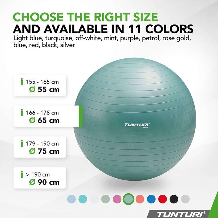 Image du produit Tunturi Ballon de Fitness Anti-Éclatement (65 cm)