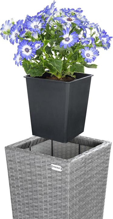 Produktbild Casaria Blumentopf (30 x 30 x 80 cm)