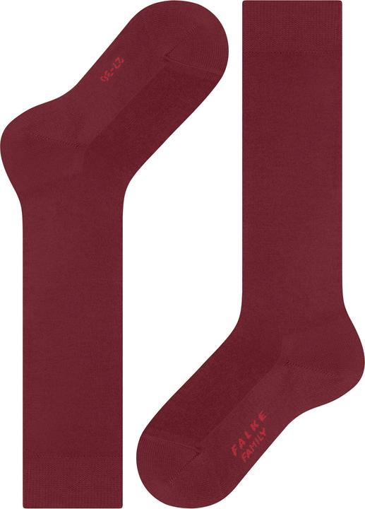 Produktbild Falke Family (Einzelpack, 23 - 26)