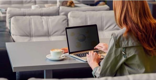 Immagine prodotto V7 13.3 IN PRIVACY FILTER 16:10 (13.30", 16:10)