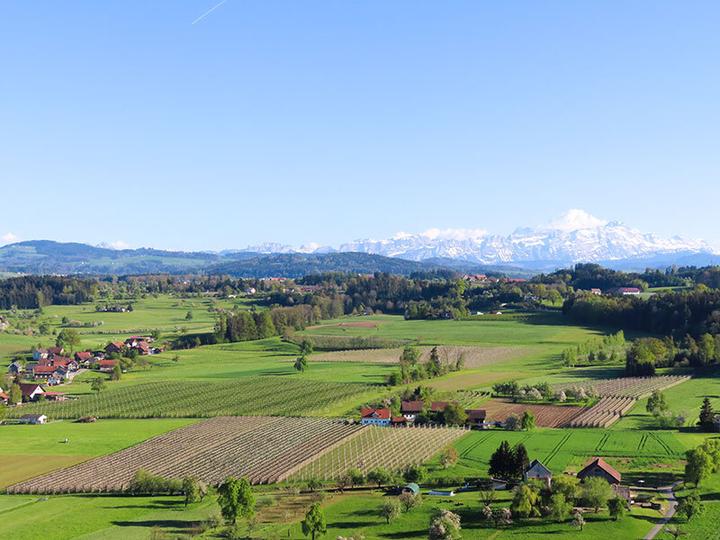 Produktbild Smartbox Private Ballonfahrt von 1 Std. 30 Min. im Zürcher Oberland für 5 Personen (5 Pers.)