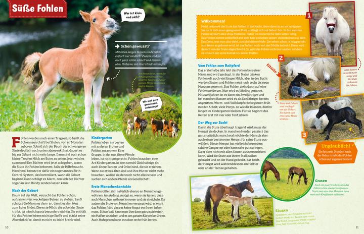 Actual product image Tessloff Pferde und Ponys (German, Silke Behling, 2016)