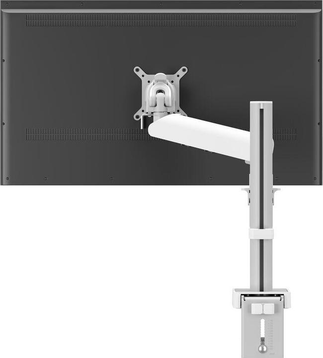 Image du produit Vogels Pro Motion 4127 (Mur, 43", 10 kg)
