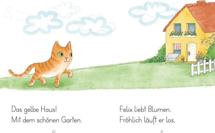 Image du produit LESEZUG/1. Klasse: Kater Felix findet ein Zuhause (Allemand, Christine Auer, 2019)