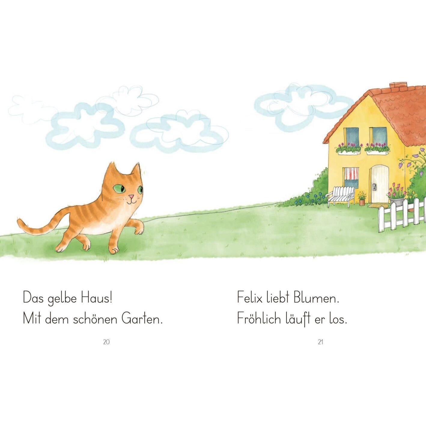 Thumbnail - LESEZUG/1. Klasse: Kater Felix findet ein Zuhause, Kinderbücher von Christine Auer