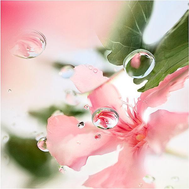 Actual product image Lancôme O de Over the Top Eau de Toilette (Eau de toilette, 100 ml)