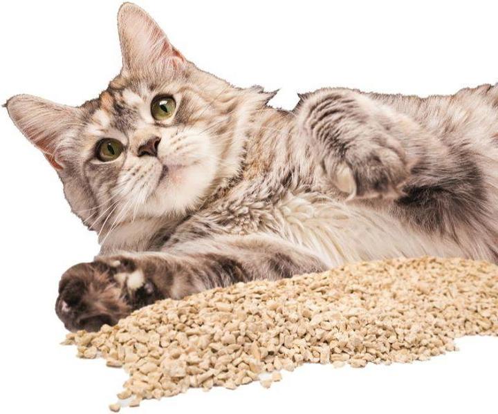 Immagine prodotto Croci Tofu pulito (2.60 kg)