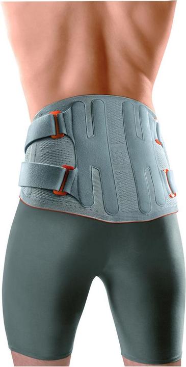 Produktbild Sporlastic Vertebradyn Strong platinum