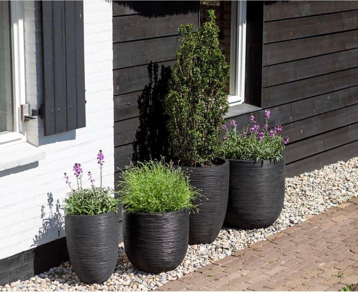 Produktbild Capi Tutch Pot (43 x 41 cm)