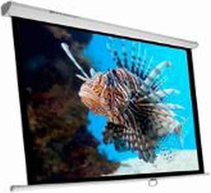 Phoenix Projection Screen PH-240 (135")