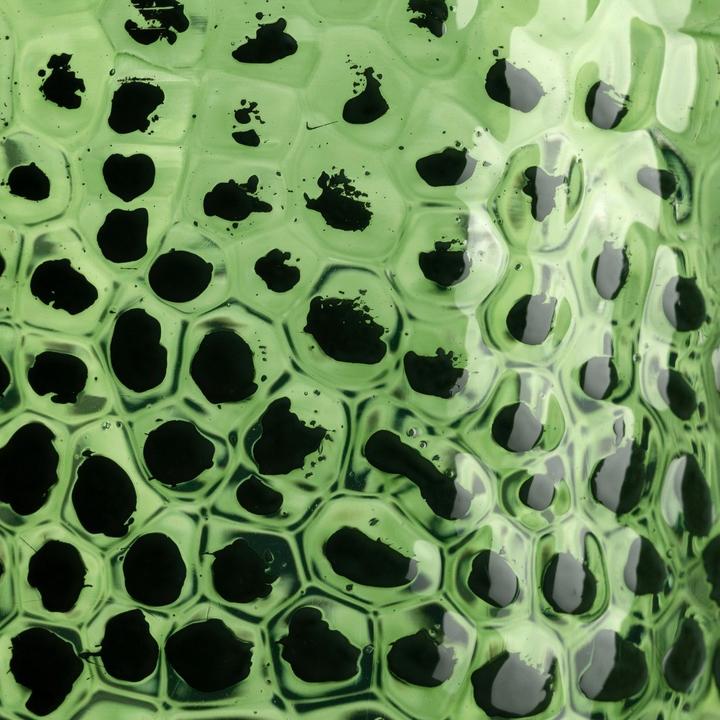 Immagine prodotto Leonardo Bicchiere Matera 340 ml, 4 pezzi, Verde (0.34 l, 4 x)