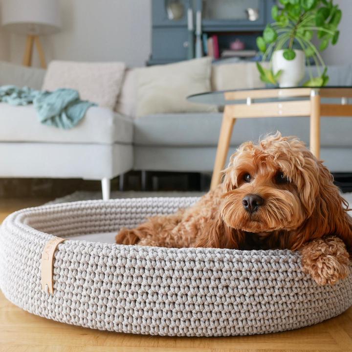 Actual product image Labbvenn Lukko (Dog)
