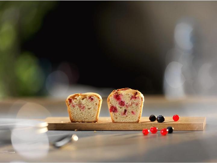 Image du produit Electrolux Piekarnik EOD5H70BZ