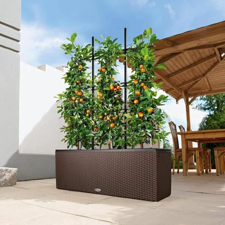 Produktbild Lechuza Trio Cottage (32 cm)
