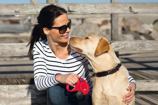 Actual product image Flexi New Classic bånd S, 5M, 15KG, olivengrøn (S, Dog, Walks)