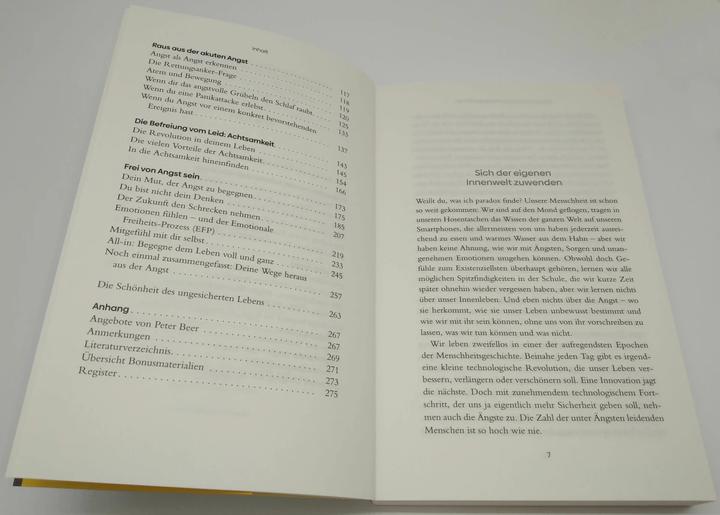 Produktbild Achtsamkeit statt Angst und Panik (Deutsch, Peter Beer, 2022)