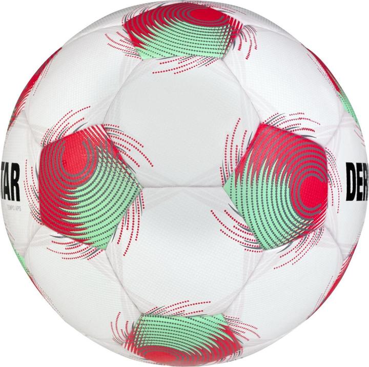 Produktbild Derbystar Tempo APS V25 (5)