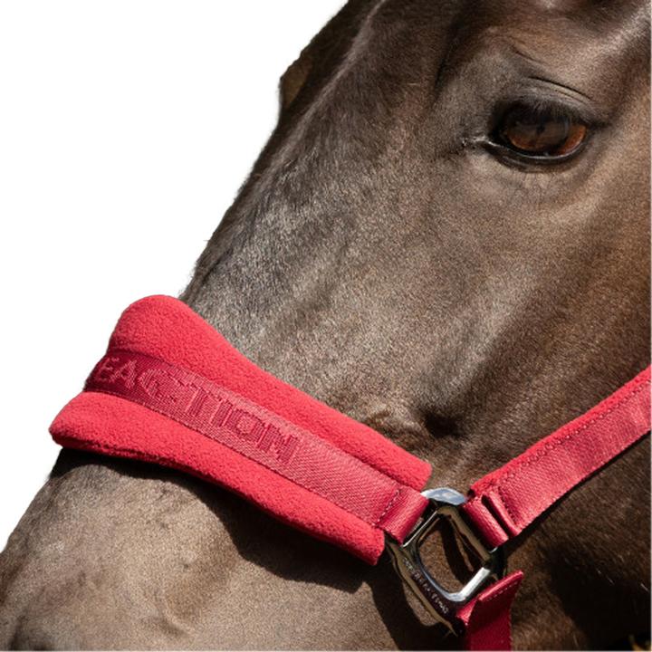 Immagine prodotto Hy ProReaction Cavezza per Cavallo