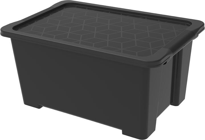 Image du produit Rotho Evo Easy (58.5 x 39 x 28 cm, 44 l)