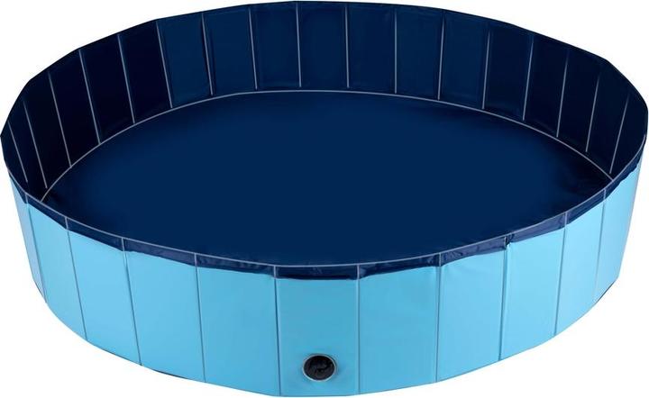 Champ Grande piscine pour chiens (Piscine pour chiens)
