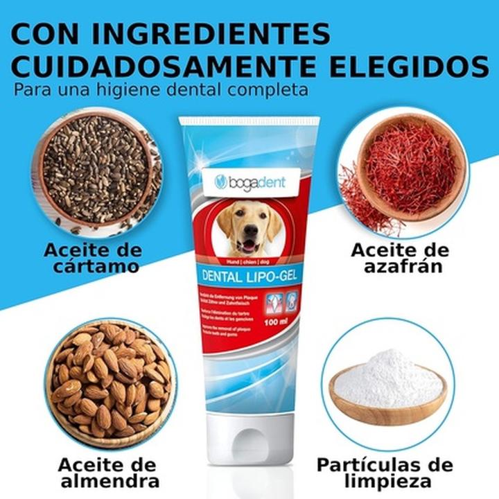 Produktbild Bogacare bogadent DENTAL LIPO-GEL (Hund, 100 ml)