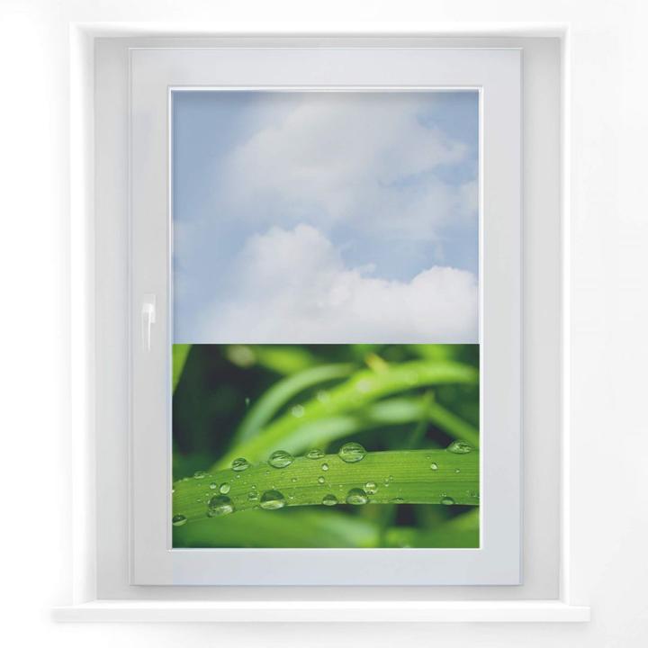 Actual product image Trenddeko Nature 5 (40 x 60 cm)
