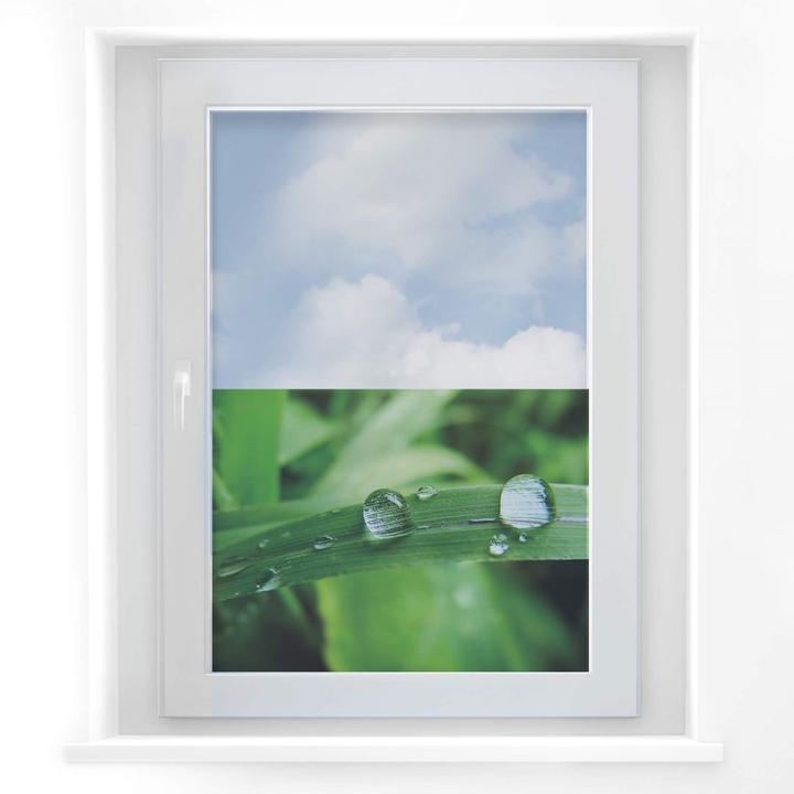 Actual product image Trenddeko Nature 4 (60 x 45 cm)