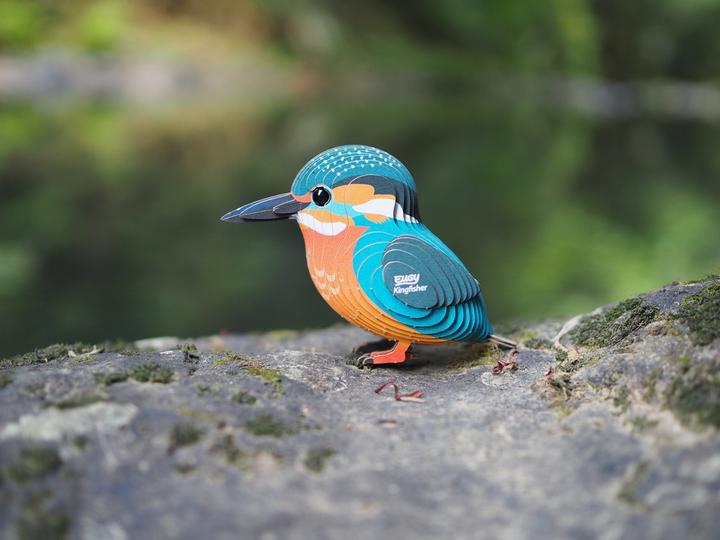 Image du produit Eugy 3D martin-pêcheur