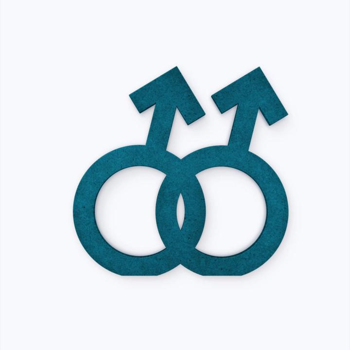 Immagine prodotto Trenddeko Simbolo di genere Uomini omo