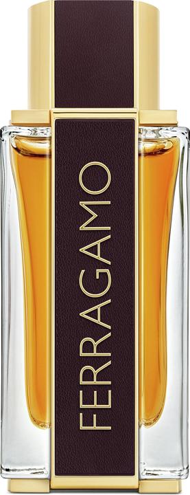 Salvatore Ferragamo Ferragamo Spicy Leather (Eau de parfum, 100 ml)