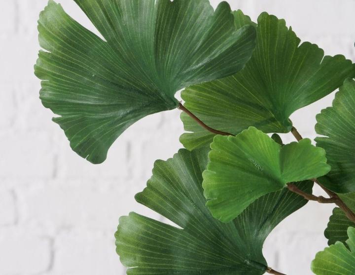 Immagine prodotto Boltze Home Gingko (2 cm)