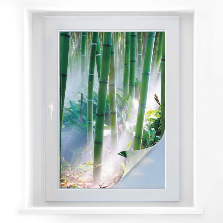Trenddeko Bamboo Forest (60 x 40 cm) - kaufen bei Galaxus - Galaxus
