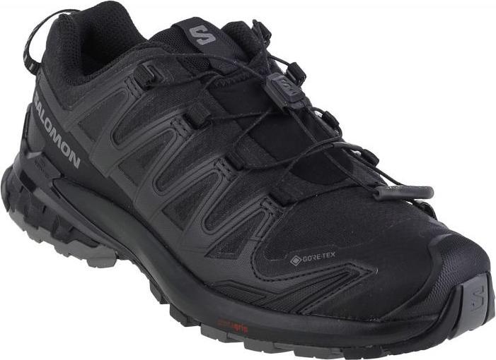 Actual product image Salomon XA Pro 3D v9 GTX (38 2/3)