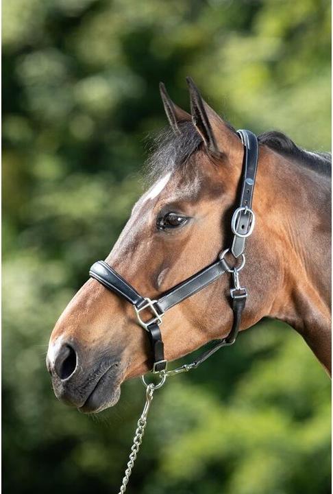 Produktbild HFI Master Grooming